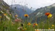 Juli 2023, Österreich Blick ins Pfafflar Plötzigtal - Tirol, Österreich
(c) Benjamin Restle