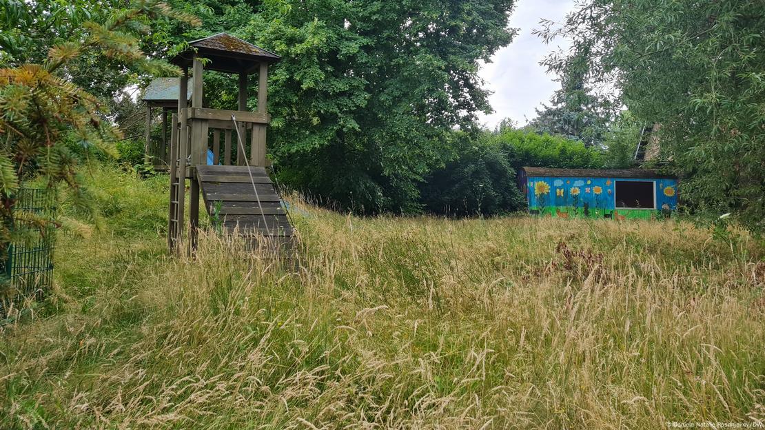 An overgrown playground
