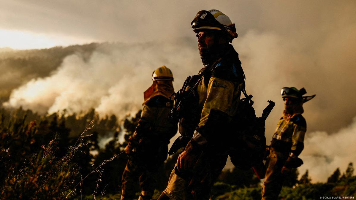 Bomberos frente a un bosque humeante.