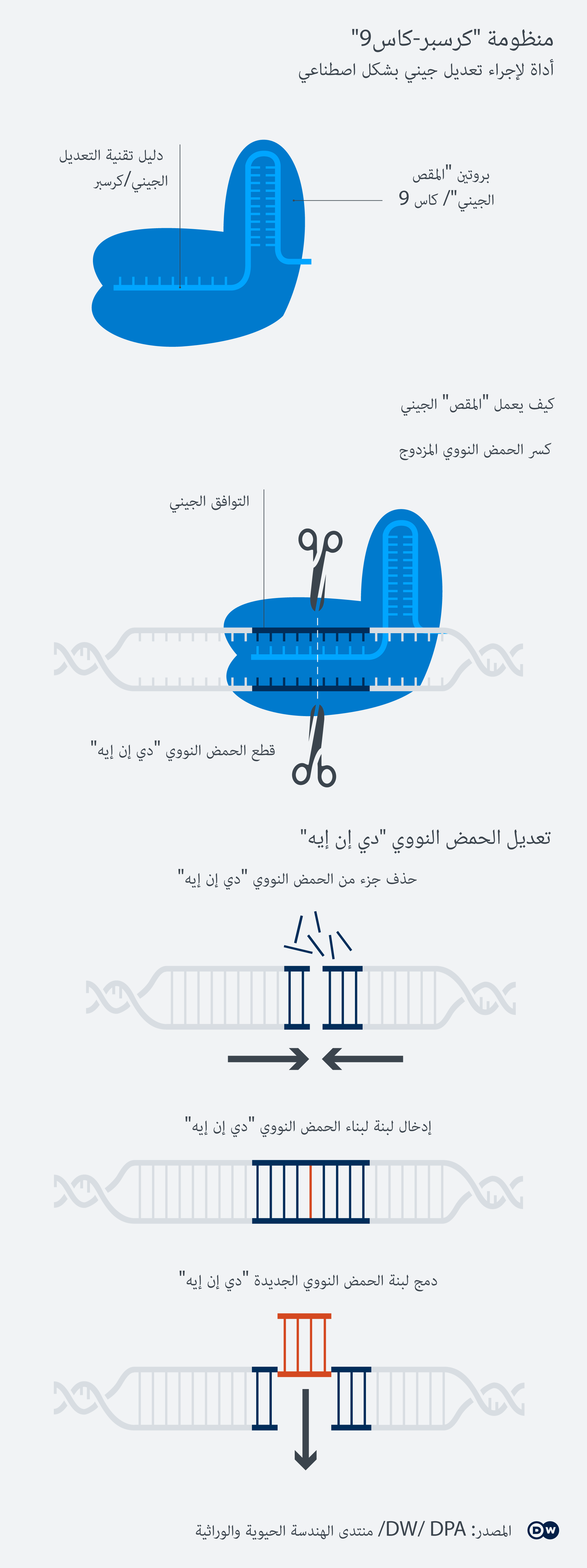 Infografik Gen-Schere CRISPER/Cas sytem AR Infografik Gen-Schere CRISPER/Cas sytem AR