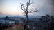BG Griechenland BG Griechenland