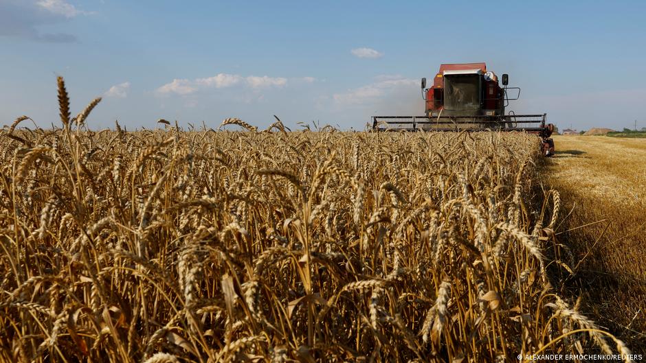 Getreide-Poker mit ungewissem Ausgang
Top-Thema
Weitere Themen