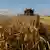 Сбор пшеницы в Запорожье (фото из архива)