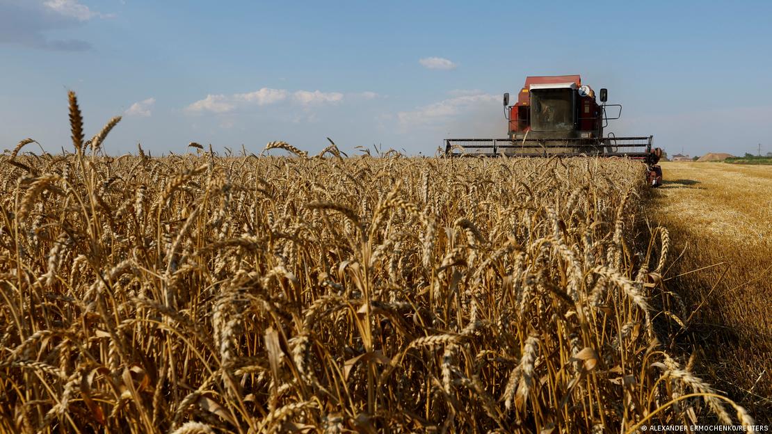 Theme Pack |  Grain trade Grain deal Grain deal Ukraine Russia