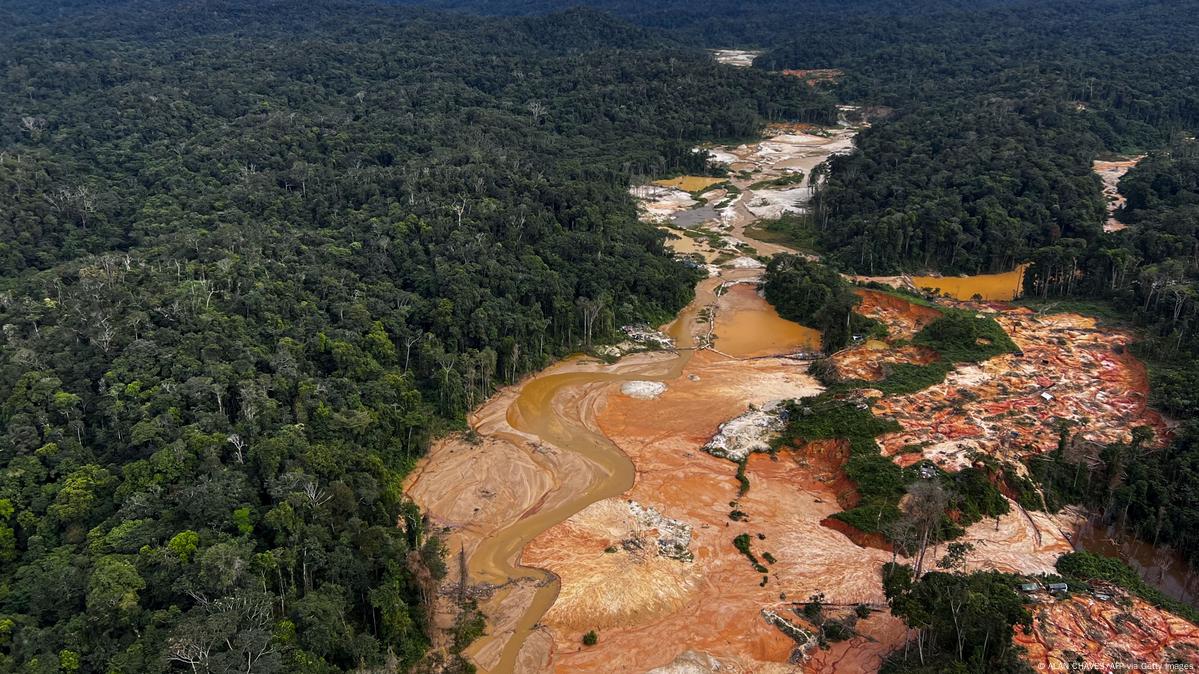 Latin America remains the deadliest region for environmental defenders