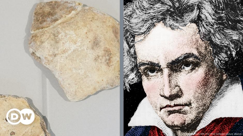 Beethoven's skull fragments returned to the city where he died - DW ...