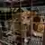 Dogs are seen inside a cage from a slaughter house in Tomohon