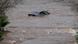 A submurged car in Halifax, Nova Scotia, after torrential rains triggered heavy flooding Saturday A submurged car in Halifax, Nova Scotia, after torrential rains triggered heavy flooding Saturday