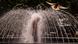 A man bathes in a fountain in Bucharest, Romania, on a hot afternoon, July 25 A man bathes in a fountain in Bucharest, Romania, on a hot afternoon, July 25