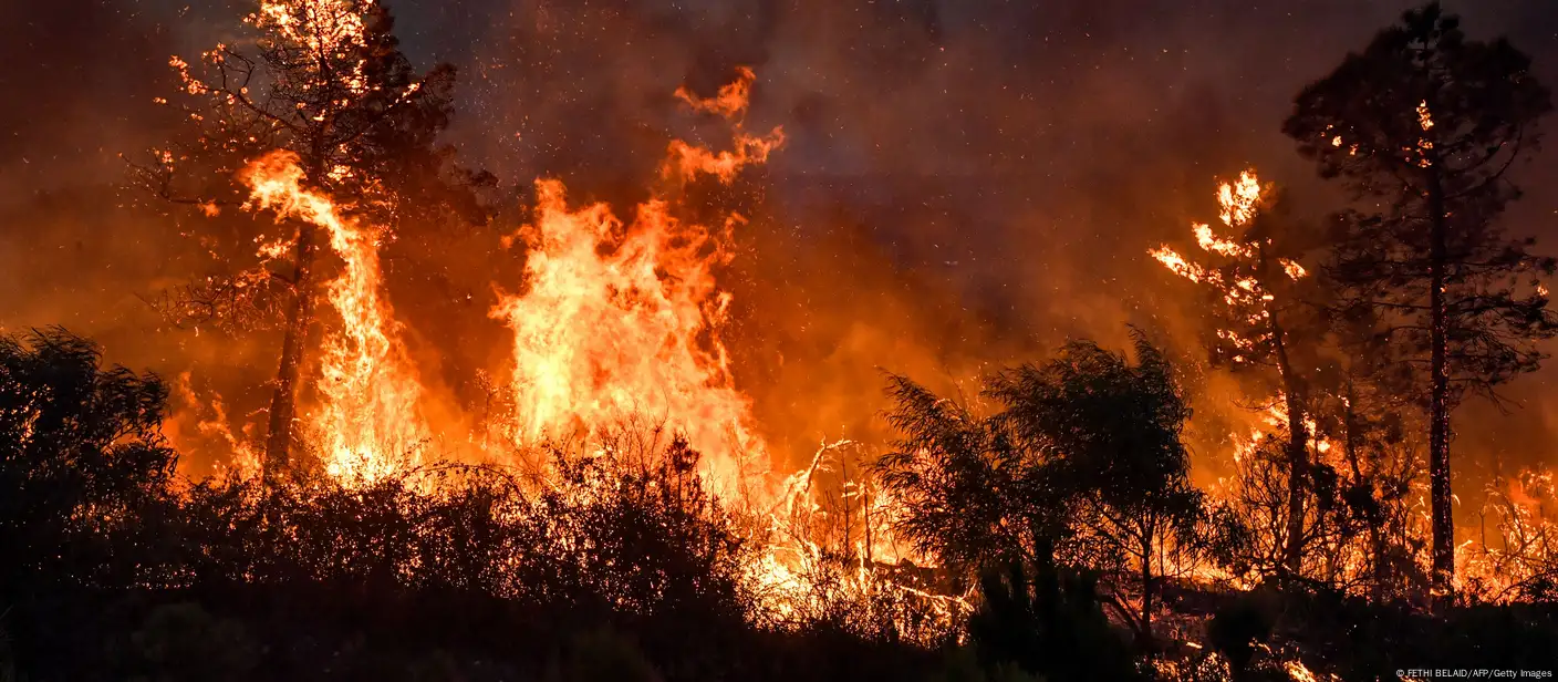 La cuenca del Mediterráneo, escenario de violentos incendios – DW – 26/07/2023