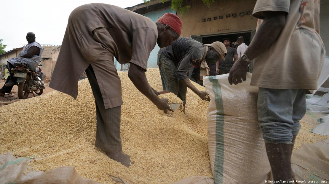 Men fill bags with grain at Dawanau International Market in Kano Nigeria, Friday, July 14, 2023