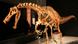 esqueleto de dinosaurio expuesto en museo esqueleto de dinosaurio expuesto en museo