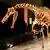 esqueleto de dinosaurio expuesto en museo