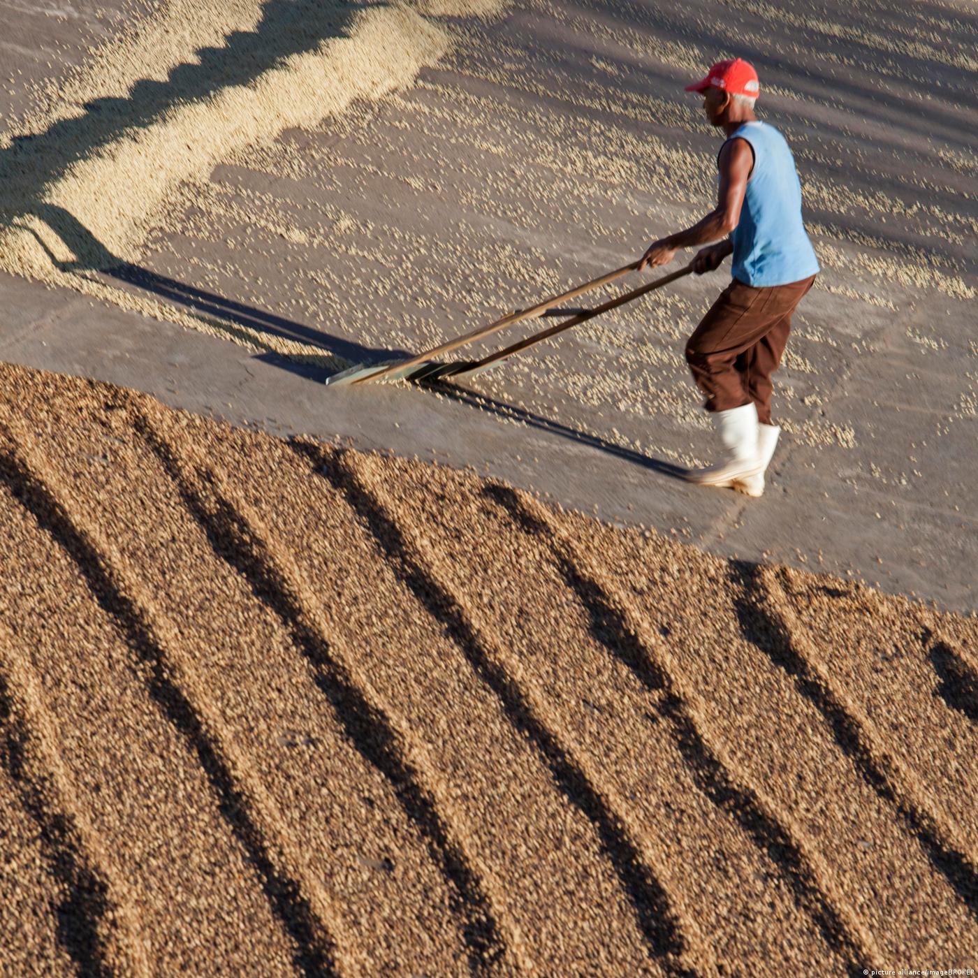 Des esclaves dans les plantations de café du Brésil // La peur en Egypte