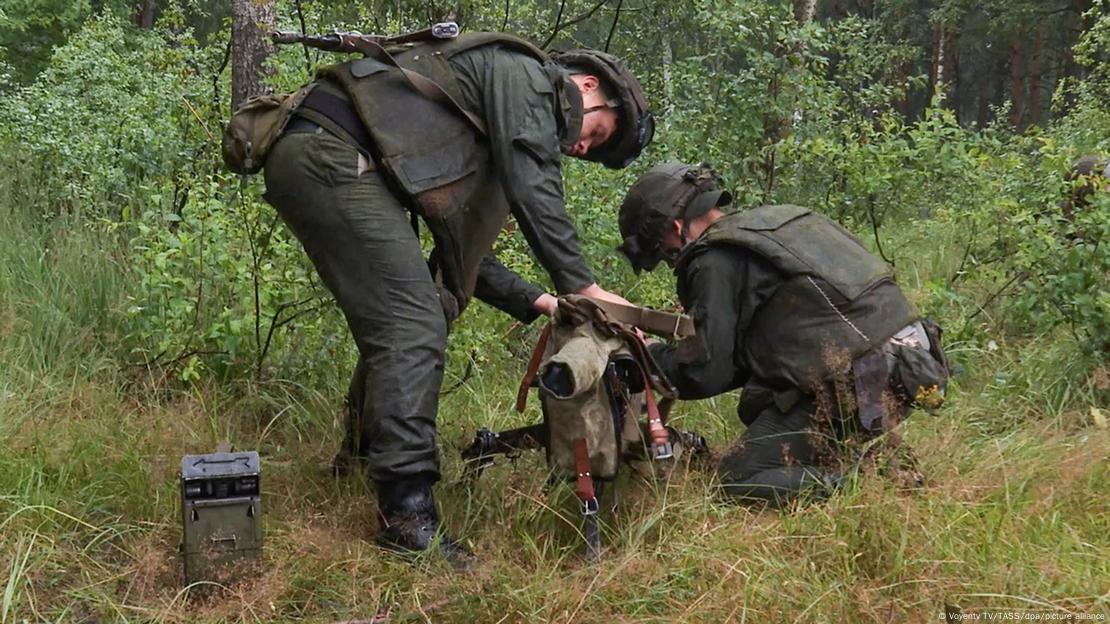 Stërvitje e përbashkët e mercenarëve Wagner dhe e ushtarëve bjellorusë në një kamp ushtarak afër kufirit me Poloninë