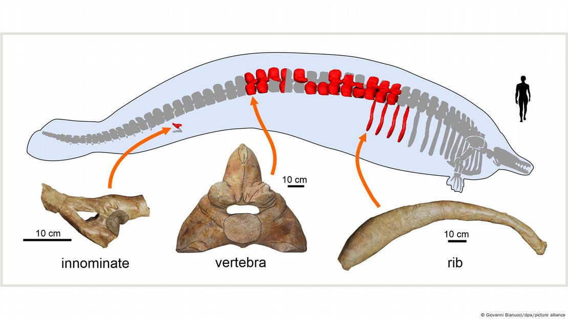 Fossilfund