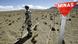 Un zapador del ejercito chileno trabaja en un campo minado en Chungara, zona fronteriza entre Chile y Bolivia Un zapador del ejercito chileno trabaja en un campo minado en Chungara, zona fronteriza entre Chile y Bolivia