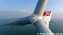 调研：中国政府大力补贴绿色能源