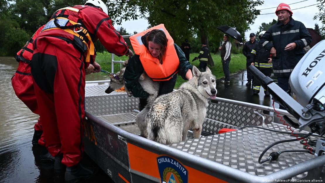 Clean-up efforts amid floods in Croatia, with rescue workers bringing a dog to safety 