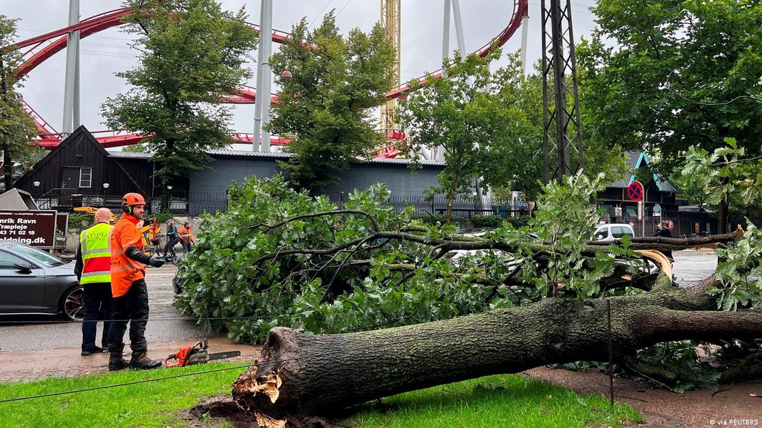 A downed tree in Copenhagen after heavy storm