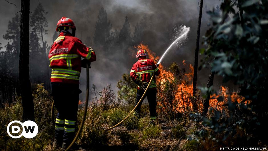 Evakuierungen wegen Waldbränden in Portugal
Top-Thema
Weitere Themen