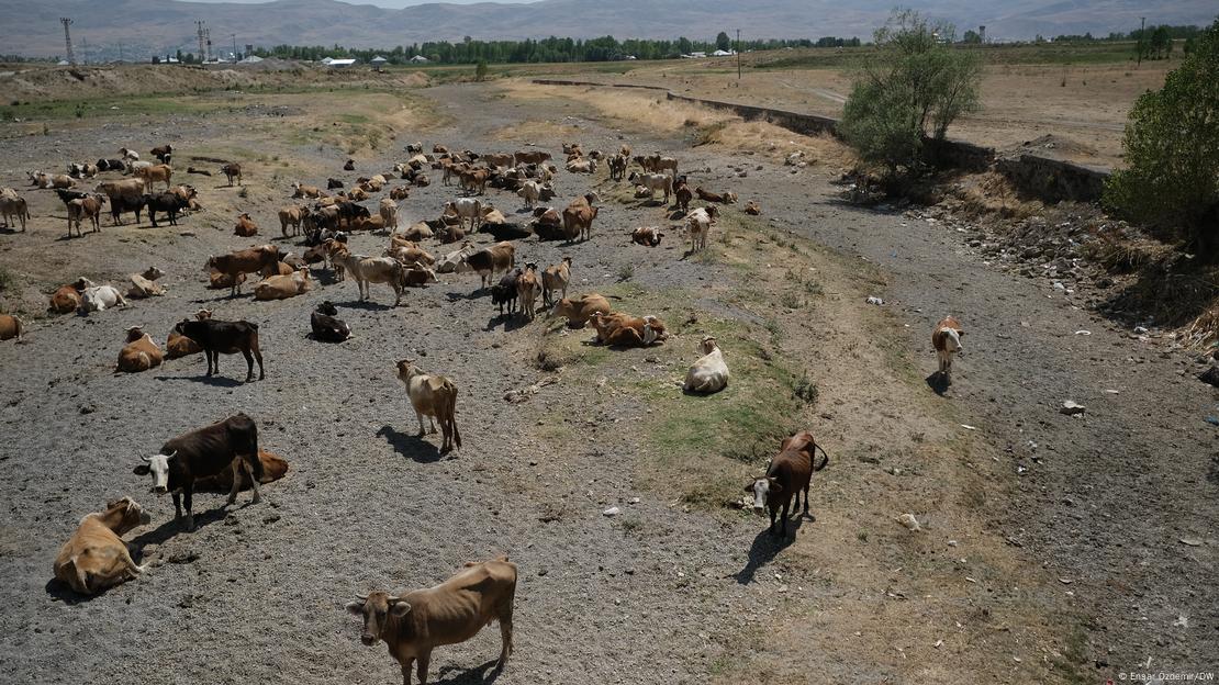 Езерото Ван в Турция: преди и тук е имало вода