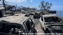 ارتفاع عدد ضحايا أسوأ حريق غابات يضرب هاواي