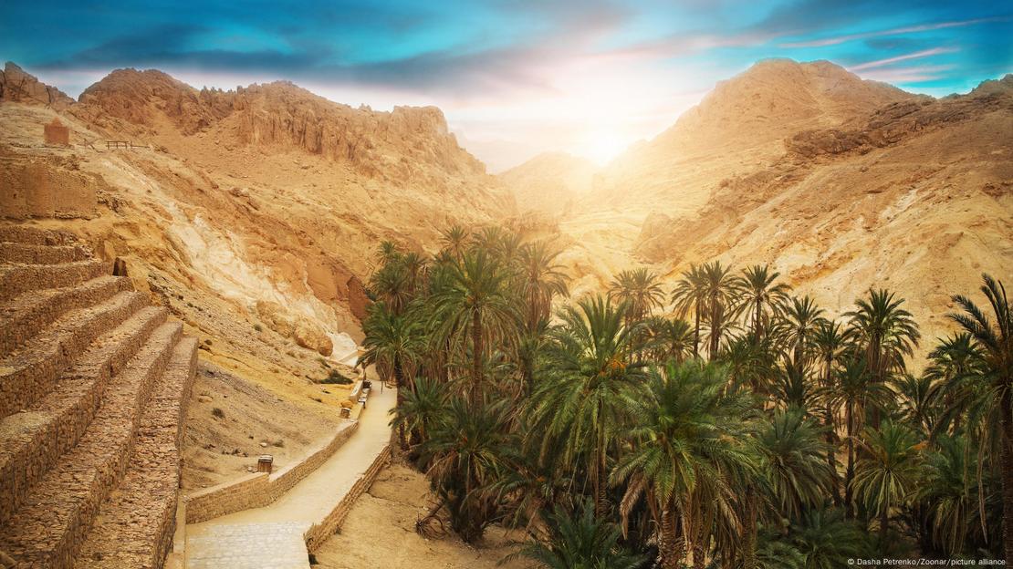 View of mountain oasis Chebika, Sahara desert, Tunisia,