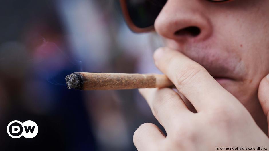 Cannabis: Welche Regeln gibt es in Europa?
Top-Thema
Weitere Themen