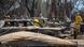 Los miembros de la Fuerza de Tarea Conjunta Combinada 50 no cesan las operaciones de búsqueda y recuperación de cuerpos en áreas dañadas por los incendios forestales en Lahaina, Maui. Los miembros de la Fuerza de Tarea Conjunta Combinada 50 no cesan las operaciones de búsqueda y recuperación de cuerpos en áreas dañadas por los incendios forestales en Lahaina, Maui.