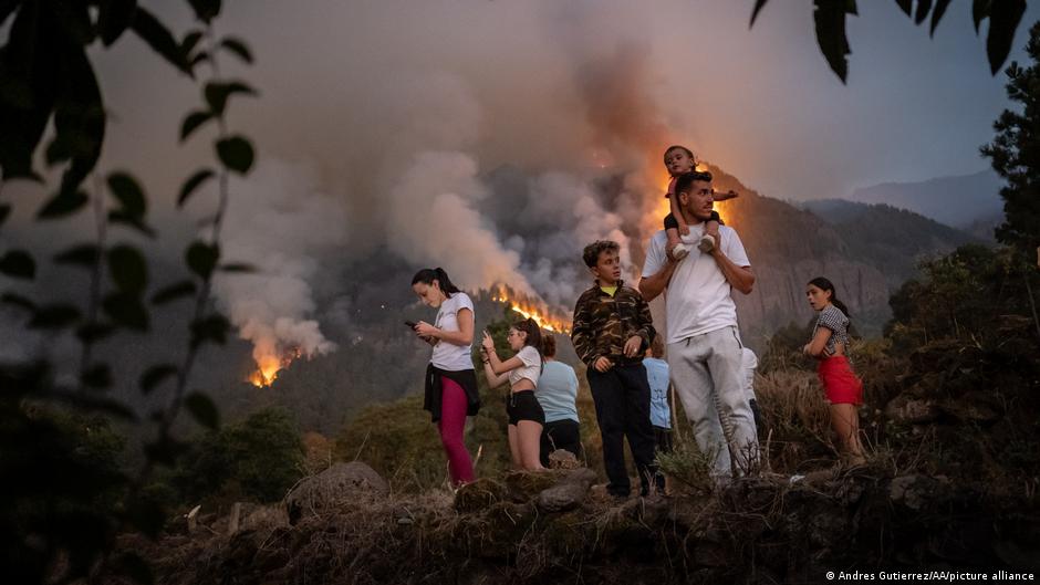 Tenerife: Wildfire slows advance, no new evacuations – DW – 08/18/2023 - Vimarsana News