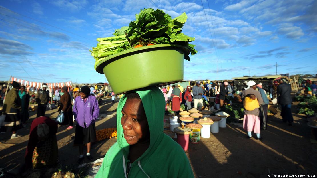 A person carry a plastic bucket containing kale vegetables at an open air market A person carry a plastic bucket containing kale vegetables at an open air market