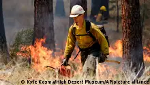 14.05.2021
In this May 14, 2021, photo provided by the High Desert Museum, U.S. Forest Service firefighters carry out a prescribed burn on the grounds of the High Desert Museum, near Bend, Oregon. The prescribed burn is part of a massive effort in wildlands across the West to prepare for a fire season that follows the worst one on record. (Kyle Kosma/High Desert Museum via AP)