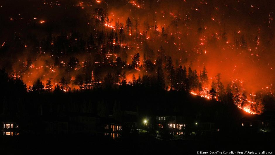2023: Big moments for the climate and environment – DW – 12/27/2023 - Vimarsana News