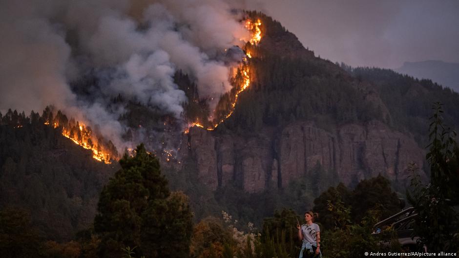 Firefighters push forward against Tenerife wildfire – DW – 08/20/2023 - Vimarsana News