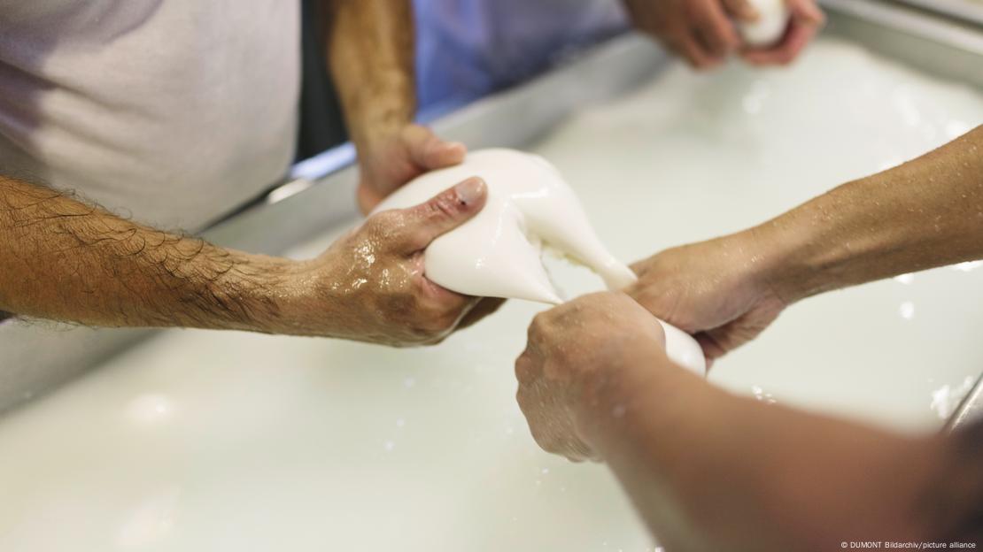 Proceso de la mozzarella Proceso de la mozzarella