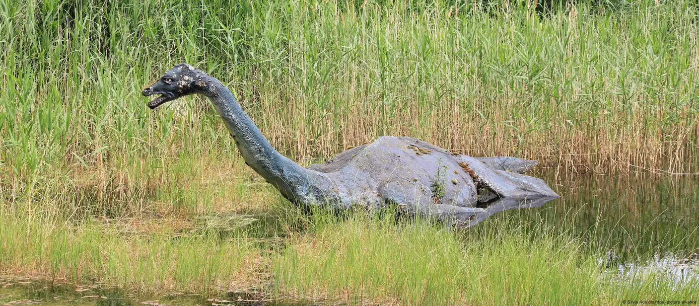 Loch Ness monster search in Scotland: Where is Nessie? β DW β 08/24/2023