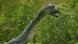 An animal with long neck and sharp teeth stands against green background. An animal with long neck and sharp teeth stands against green background.