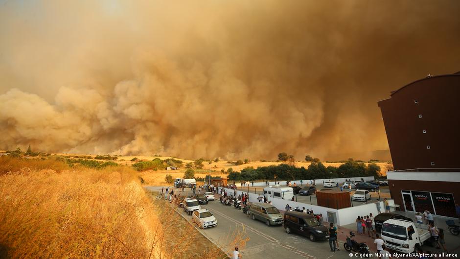 How raging wildfires could break the global carbon budget – DW – 08/30/2023 - Vimarsana News