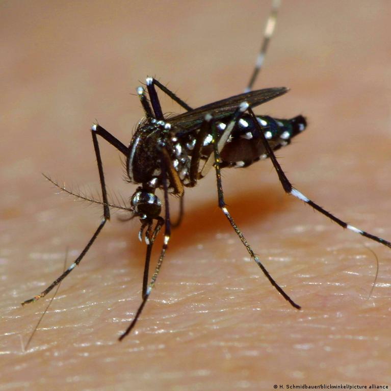 Katta kokraklar orasidagi rangli porno Jamoat transportida yaponiyalik jinsiy hazillar