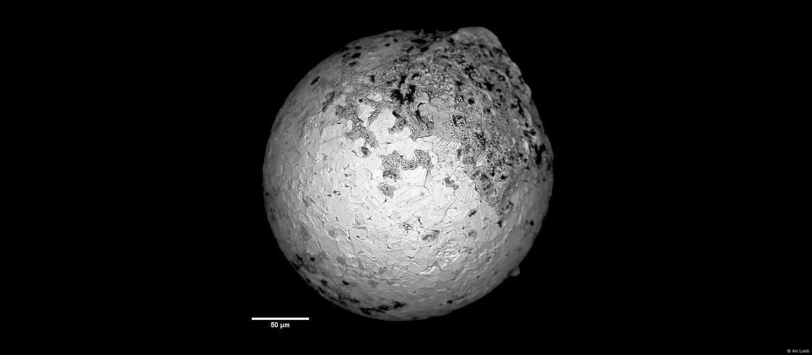 As imagens inéditas da noite da Super Lua Azul, o fenómeno que só volta em  2037 – Observador