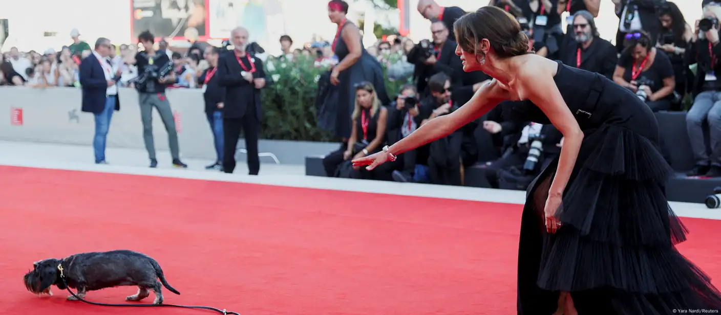 Protest T-shirts and gorgeous gowns at the opening of Venice Film Festival  2023