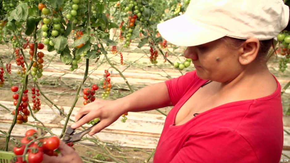 Is Spain's minimum wage hike a success? DW 09/06/2023