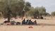 Migrants sitting under olive trees Migrants sitting under olive trees
