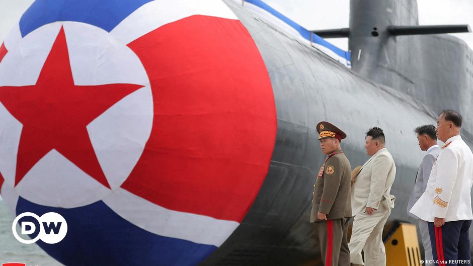 Russia vetoes extension of UN panel monitoring North Korea sanctions