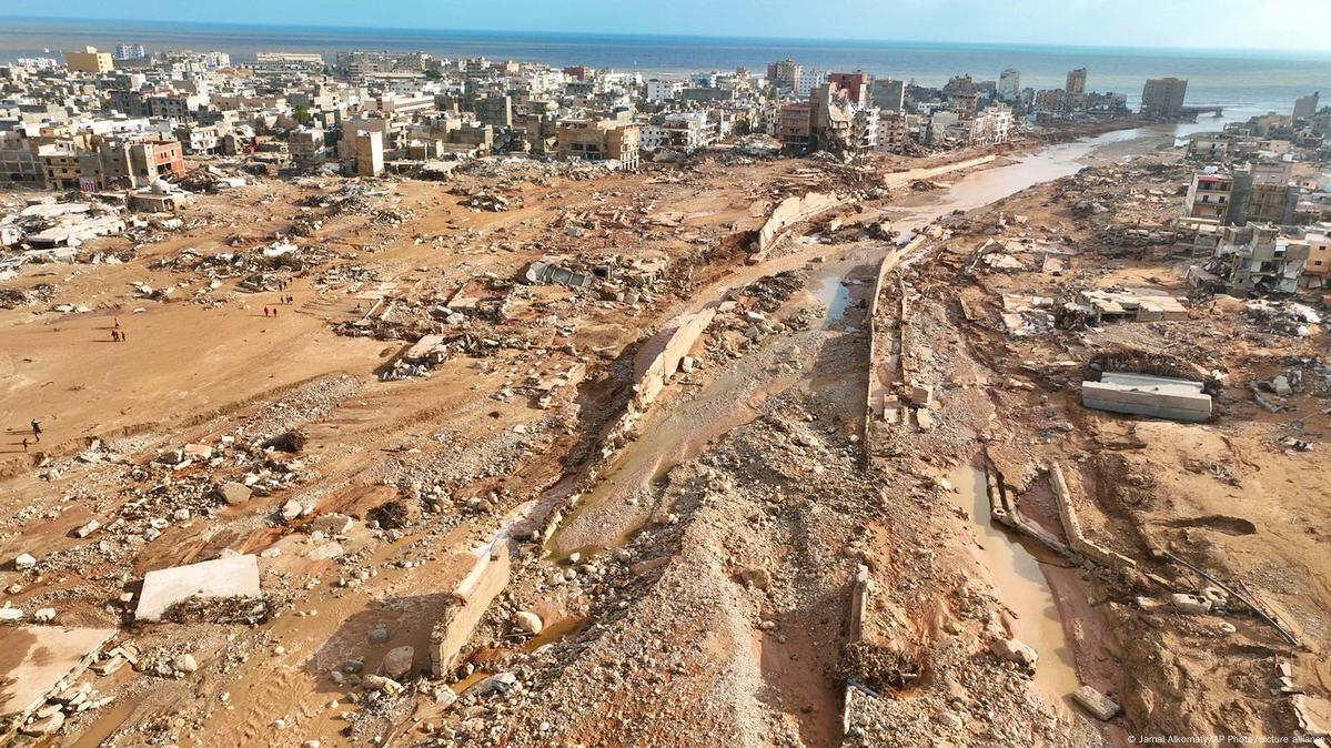 Cobras matam nove mil pessoas em Moçambique a cada ano