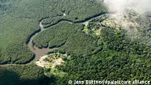 02/01/2023 Ein kleiner Fluss schlängelt sich durch den Amazonas-Regenwald. Jeden zweiten Tag bezahlt ein Umweltschützer seinen Einsatz für saubere Flüsse und intakte Wälder mit dem Leben: Im vergangenen Jahr wurden weltweit 177 Naturschützer getötet, wie die Nichtregierungsorganisation Global Witness am Mittwoch bei der Vorstellung ihres Jahresberichts mitteilte. (Zu dpa Gefährlicher Kampf für Umwelt und Klima: 177 Naturschützer getötet) +++ dpa-Bildfunk +++