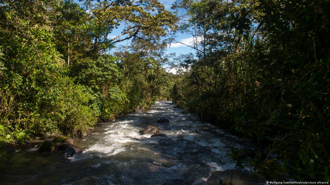 Ecuador, Mindo | Mindo River