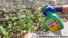 22.06.2019
Das Unkrautvernichtungsmittel Roundup vom Chemiekonzern Monsanto (Bayer AG) mit dem Wirkstoff Glyphosat.