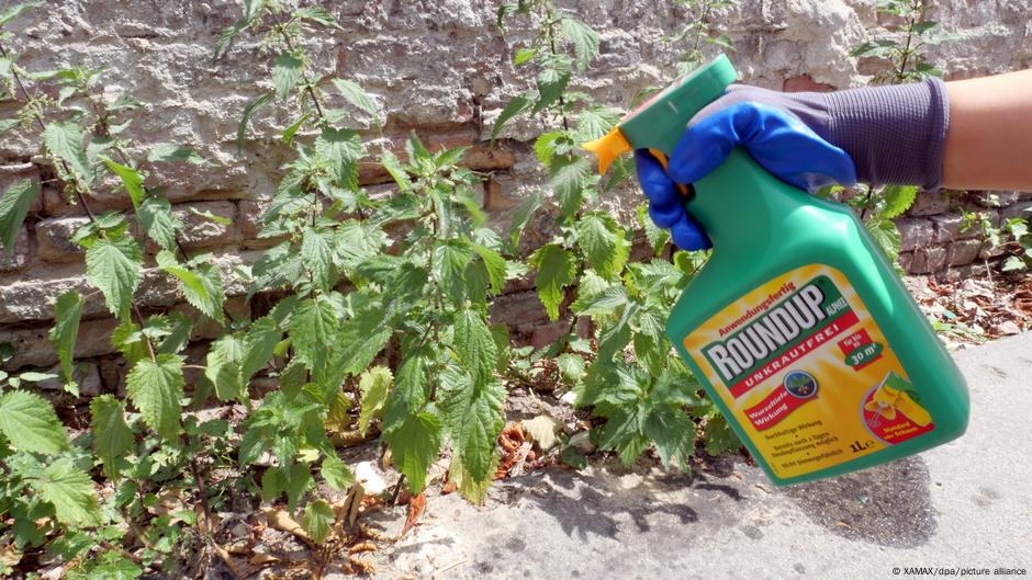 Eu Extends Approval Of The Weedkiller Glyphosate By 10 Years Dw 11